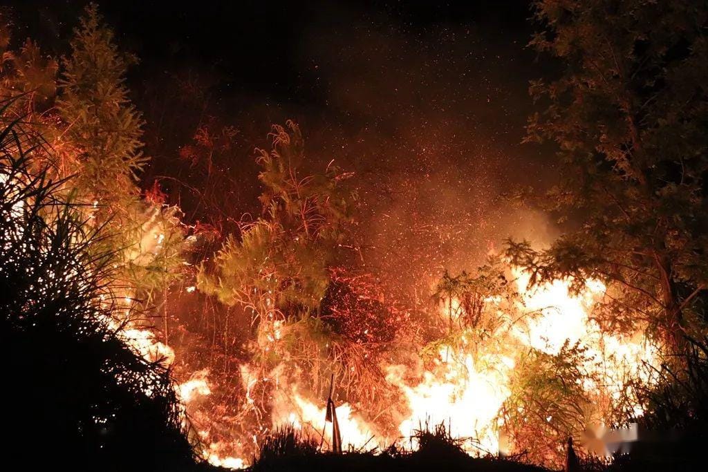 AI tool predicts wildfire danger faster than current systems